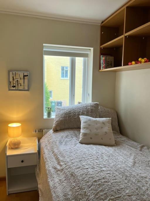 Charming 3 Bedroom Apartment Akureyri Dış mekan fotoğraf