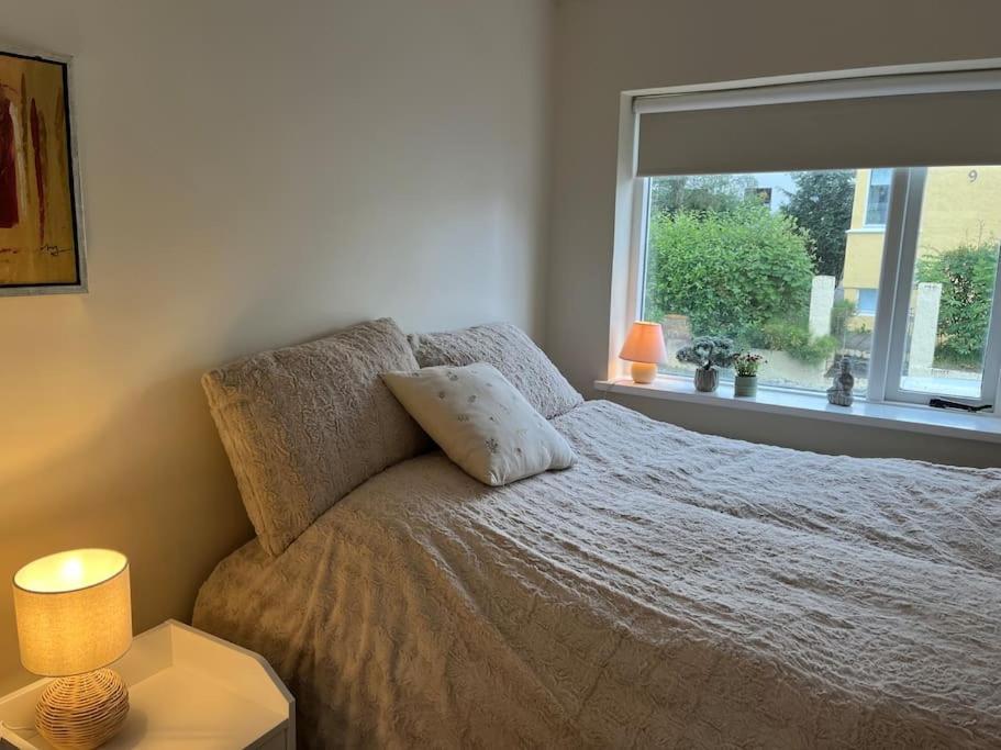 Charming 3 Bedroom Apartment Akureyri Dış mekan fotoğraf